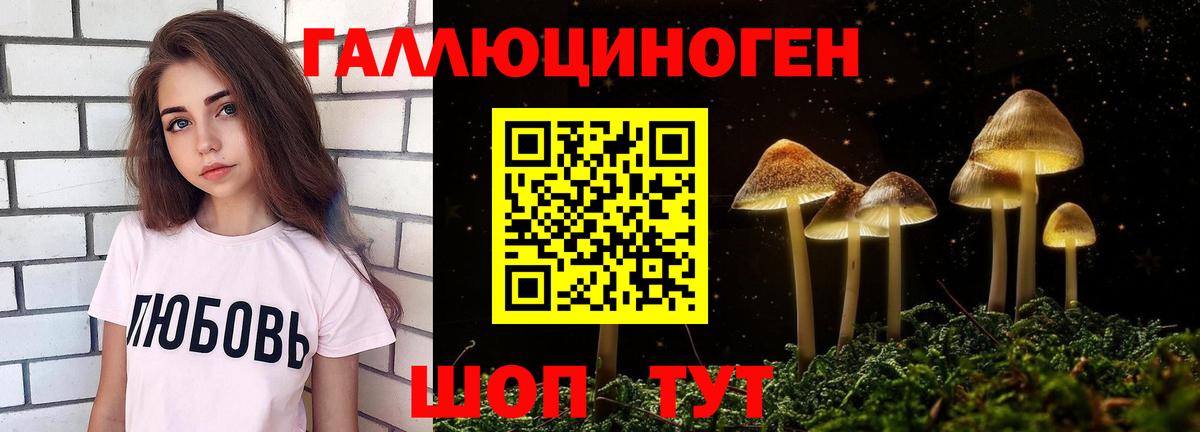 Галлюциногенные грибы Psilocybine cubensis  Вход с VPN  Гагарин 